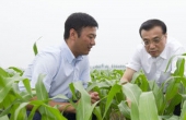 一號(hào)文件解讀：中國要強(qiáng) 農(nóng)業(yè)必須強(qiáng)